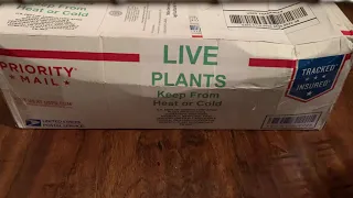 Another Steve’s Leaves unboxing