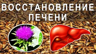 Liver - prevention and treatment. Milk thistle and linseed oil.