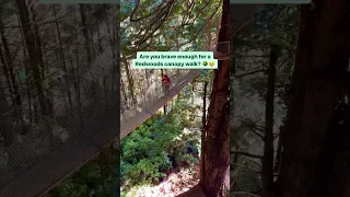 Are you brave enough for the Redwoods Canopy trail? 🌳😵‍💫🌀 Klamath California