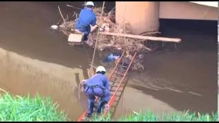 Cão é resgatado do Rio Paraibuna