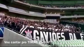 Fiel APAVORA torcida palmeirense EM PLENO ALLIANZ PARQUE | Legendado