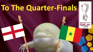 World Cup 2022 Predictions ⚽ England vs Senegal 🐸 The Guessing Frog - Round of 16
