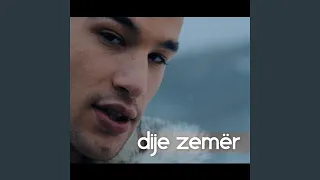 Dije Zemer