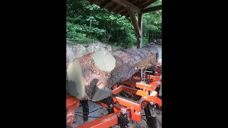 MYSTERY LOG ON THE WOODMIZER LT40 SAWMILL …