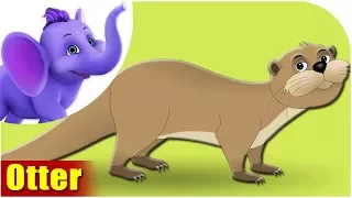 Animal Rhymes for Kids - Otter Song