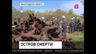 Остров Большой Тютерс. Экспедиция "Гогланд" 2016