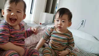 [HATAE TV] [Eng sub] 옹알이로 대화하는 13개월 쌍둥이 아기. 좋아하는 장소를 지키는 쌍둥이 K baby korean baby twins