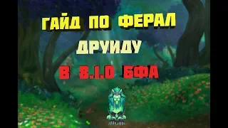 Гайд по ферал друиду 8.1.0 (PvP/PVE) в BfA