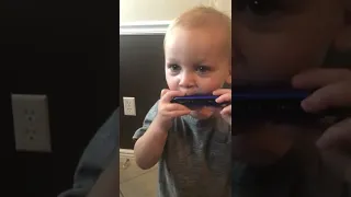 Toddler Enjoys Playing Harmonica - 1332471