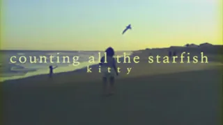 counting all the starfish - kitty