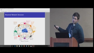Ivan Raikov (PI:Ivan Soltesz): Full-scale biophysical modeling of hippocampal networks....