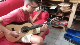 Violas Anderson Batista luthier