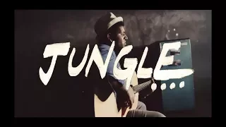 Jungle [Official Music Video] - Dhruv Visvanath