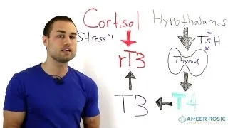 Thyroid problems Stress and Thyroid
