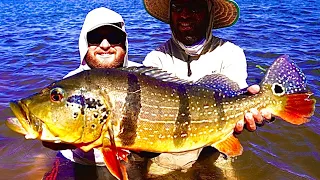 3 GIANT Double Digit Peacock Bass in One Day!!! (Colombia Day 7)