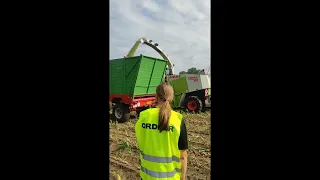 50 Jahre Claas Jaguar Das Jubiläum als Feldtag claas Jaguar claas sf