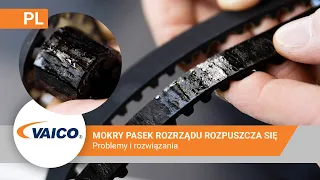 Mokry pasek rozrządu 1.2 PureTech | Peugeot, Citroen | Pasek rozrządu rozpuszcza się | V22-0887