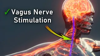 Vagus Nerve REPAIR & Stimulation: Strengthen Nervous System (Euphoria may Occur) • 30Hz