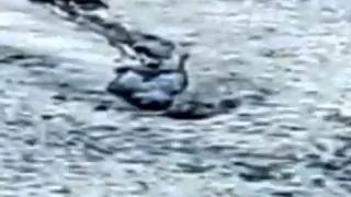 Iceland Worm Monster Caught on Camera Loch Ness monster The Lagerfljot river worm