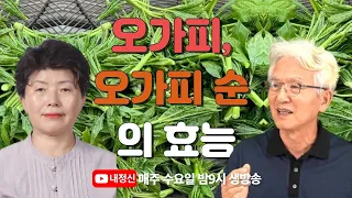 제120회 라방 : 오가피와 오가피 순의 효능