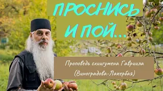 Проснись и пой. Кавказский скит Валаамского монастыря. О. Гавриил. Проповедь. Верю @user-gw3kj1lb7j