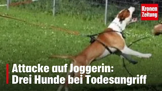 Attacke auf Joggerin: Drei Hunde bei Todesangriff | krone.tv NEWS