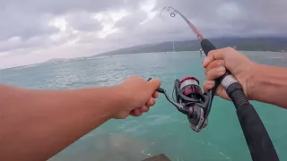PAPIOS BREAK MY REEL! | Papio Fishing | Hawaii Fishing