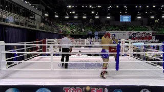 Almion Hodzic v Danijel Petrovic WAKO European Championships 2019