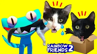 Como pasarse Rainbow Friends 2 juego completo hasta el final / Videos de gatos Luna y Estrella