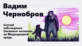 Вадим Чернобров. Йети на Медведицкой Гряде (архив, публикуется впервые)