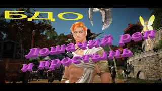 Black Desert Мудрец, лошачий реп и простынь.....#BlackDesert#mmorpg#бдо#blackdesert