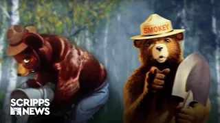 Why does Smokey the Bear exist?