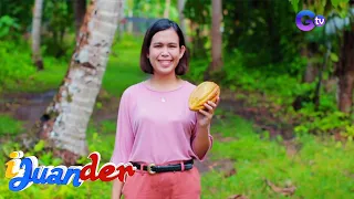 iJuander: 'Chocolate Princess' ng Bohol, kilalanin!