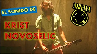 🎸 Sound analysis of KRIST NOVOSELIC | How to get the Krist Novoselic bass sound 🎶