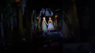 Frozen ever after ride!