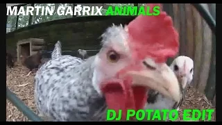 Martin Garrix - Animals (DJ Potato Edit)