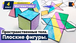 Математика. Пространственные тела. Плоские фигуры.