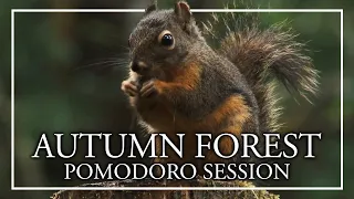 AUTUMN FOREST AMBIENCE - Nature Pomodoro Session - Forest ASMR Rain Sound Woods