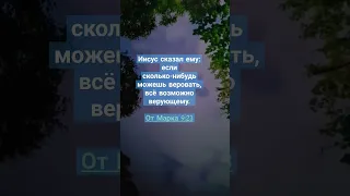 Иисус сказал ему: если сколько-нибудь можешь веровать, всё возможно верующему.От Марка 9:23