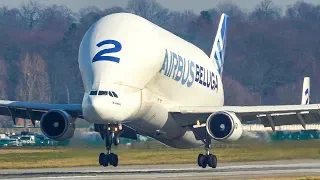 AIRBUS BELUGA - The WEIRDEST PLANE in the WORLD? Landing, Go Around and Departure (4K)