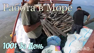 Работа в Южной Корее / Морская работа в Корее / Южная Корея 2019