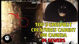 3 Creepiest Things Caught on Camera in Sewers (With Footage)