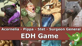 UNSANCTIONED EDH: Acornelia vs Pippa vs Stet vs Surgeon General Commander