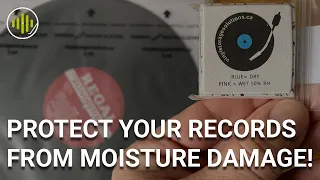 Protect Your Valuable Records from Moisture Damage