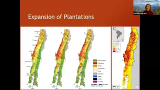 Wildfires and Community Well-Being: Lessons From Chile | Distinguished Seminar Series