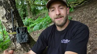 Tracking WildBoar with HikMicro M15 Trailcam, Building a Fox Bait Station, & Thermal Problem solving