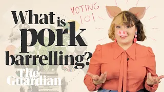 What is pork barrelling? | Voting 101