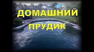 Домашний пруд для плавания .