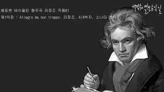 베토벤 바이올린 협주곡 라장조 작품61 제1악장
