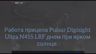 Работа прицела Pulsar Digisight Ultra N455 LRF днем при ярком солнце. Утки на реке, пришел кот.